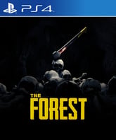 The Forest