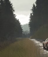 Sebastien Loeb Rally Evo PS5 Retro - Imagen 5