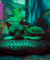 Stray PS5 - Imagen 7