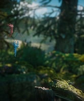 Combo Unravel 1 y 2 - Imagen 4