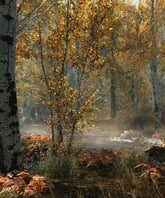 The Elder Scrolls V Skyrim Special Edition - Imagen 5