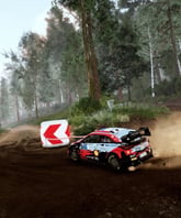 WRC 10 - Imagen 3
