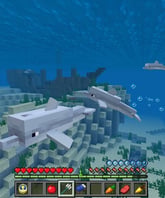 Minecraft - Imagen 4