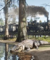 Red Dead Redemption 2 - Imagen 6