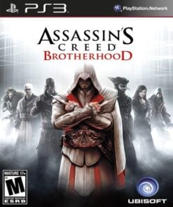 Assassins Creed Brotherhood