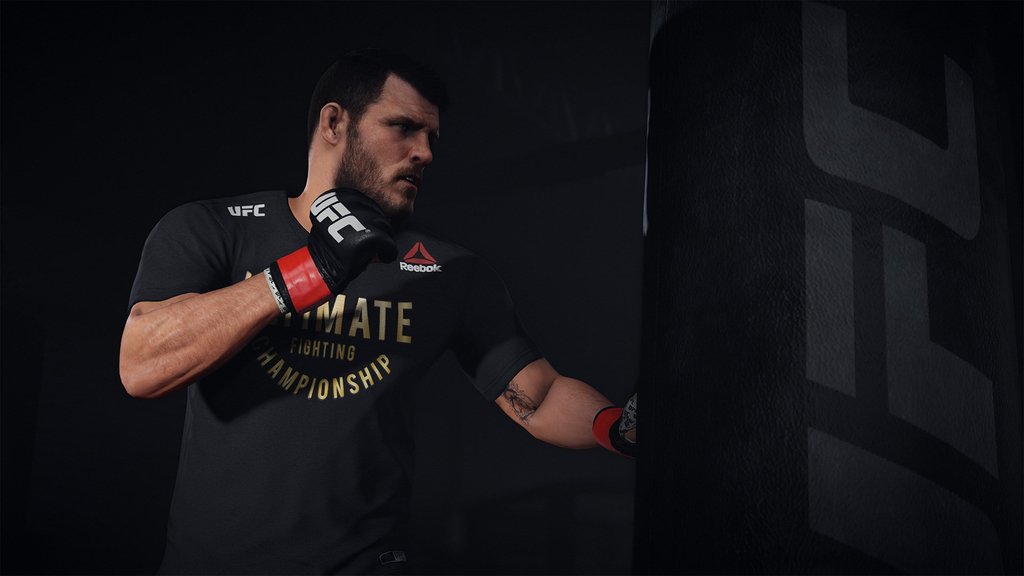 Ufc 3 - Imagen 7