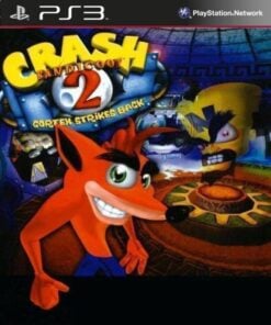 Crash Bandicoot 2