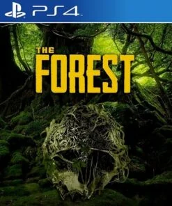 The Forest