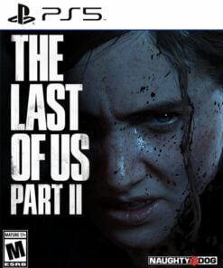 The Last of Us Part II PS5 Retro