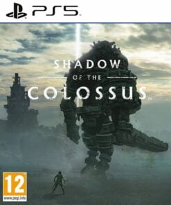 Shadow Of The Colossus PS5 Retro