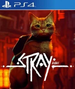 Stray