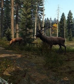 DayZ PS5 Retro - Imagen 5