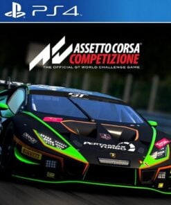 Assetto Corsa Competizione