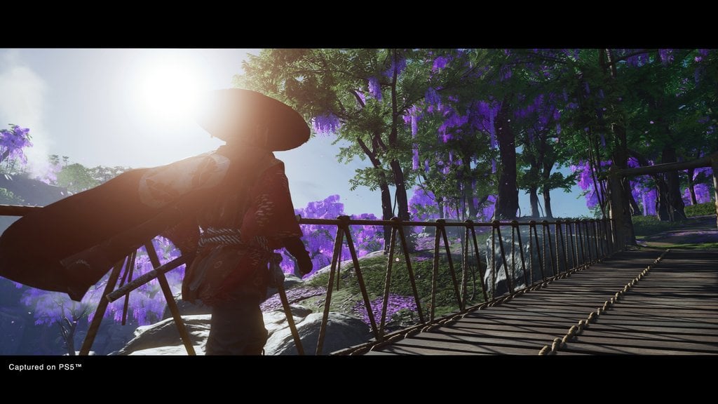 Ghost Of Tsushima - Imagen 2